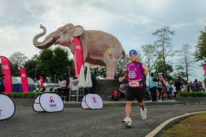 BIB: 
                            <button type="button" onclick="openModal(26528916)" class="btn btn-primary btn-sm float-right btn-popup" data-toggle="modal" data-target=".modal-high-quality">
                        <i class="fas fa-shopping-cart"></i> Add to Cart
                    </button>
                                            <button type="button" onclick="isThisMe(26528916, true)" class="btn btn-success btn-sm float-right btn-popup btn-isme hidden" data-toggle="tooltip" data-placement="bottom" title="นี่คือรูปของคุณใช่ไหม คลิกที่นี่เพื่อเอาเข้าอัลบั้ม">
                        <i class="fas fa-plus"></i> Add to album
                    </button>
                    <button type="button" onclick="isThisMe(26528916, false)" class="btn btn-warning btn-sm float-right btn-popup btn-isnotme hidden">
                        <i class="fas fa-ban"></i> Remove from album
                    </button>